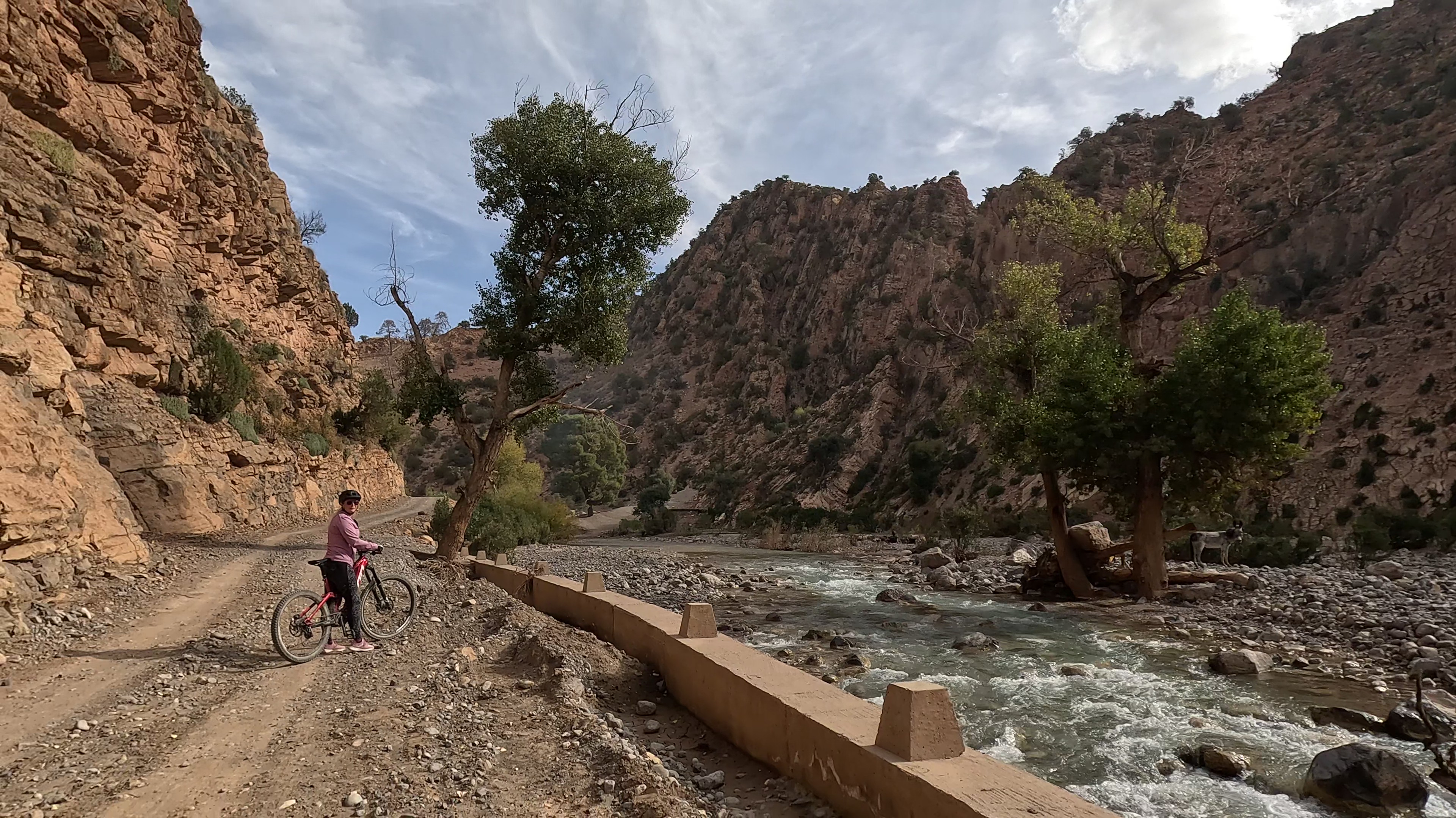 Explore Atlas Mountains: Epic Singletrack Mountain Biking Tours