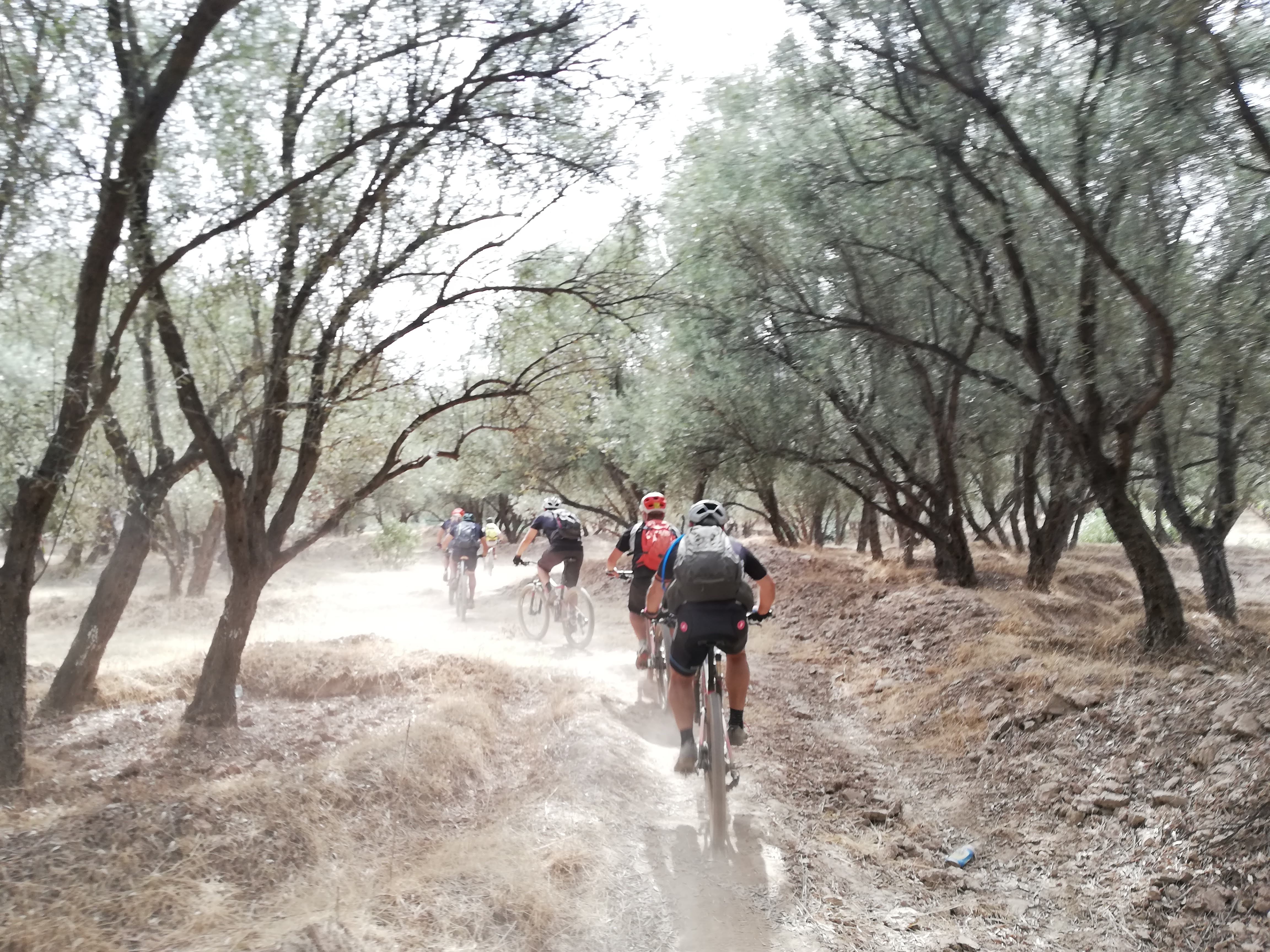 What Is a Multi-Day Bike Expedition 2026 Guide