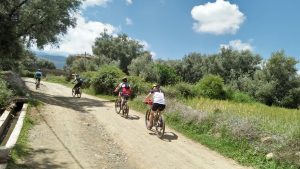 6 Atlas Trail Conditions That Change Everything