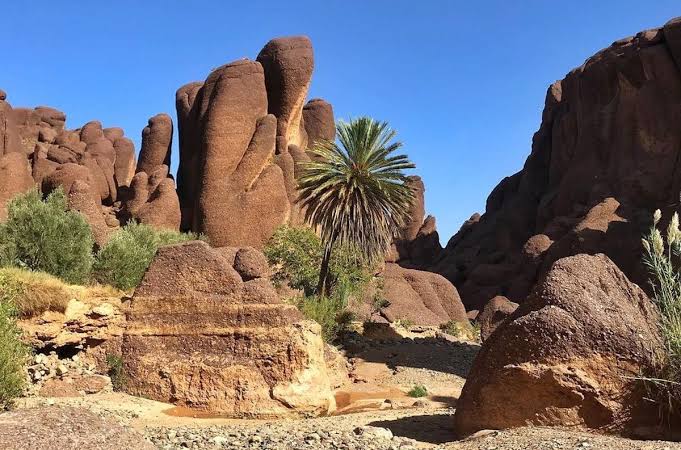 Discover Djebel Siroua: Hiking in Morocco's Hidden Gem