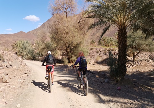 Discover Saghro: Biking through Morocco's Valleys & Mountains